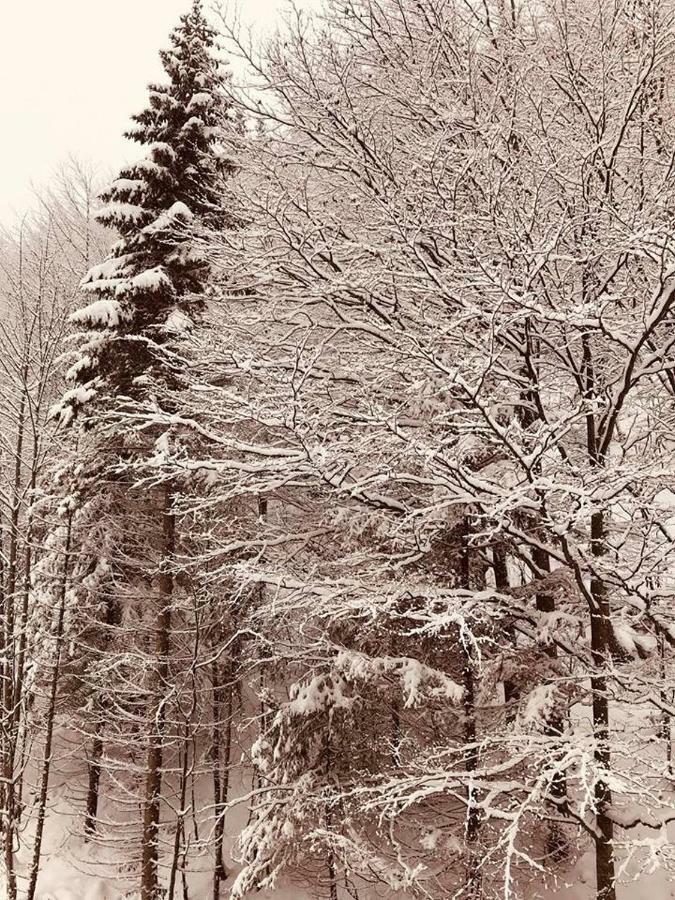 Apartman 16 Romantika Chopok Juh Tale Buitenkant foto